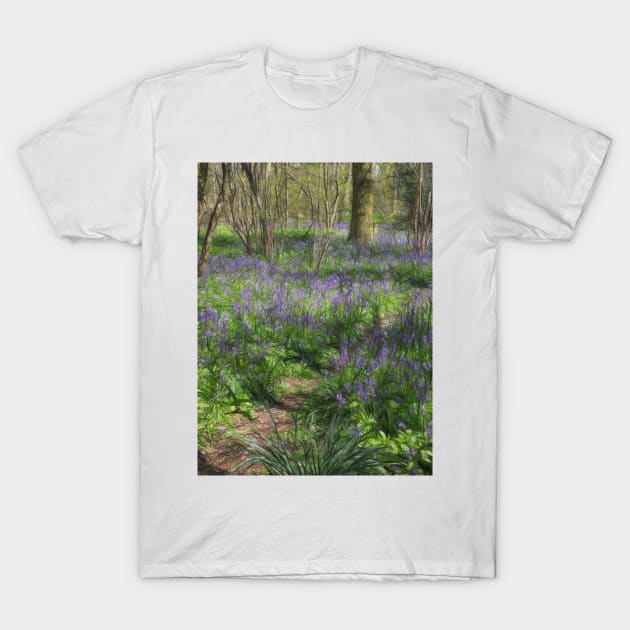 dappled light in woodland favoured by blue bells T-Shirt by mister-john